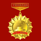 2011年4月 寧夏回族自冶區五一勞動獎章定制