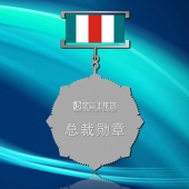 2013年3月：定制江門金富士定制純銀紀(jì)念獎(jiǎng)牌